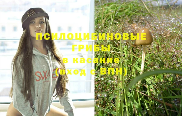 ГАЛЛЮЦИНОГЕННЫЕ ГРИБЫ Козельск
