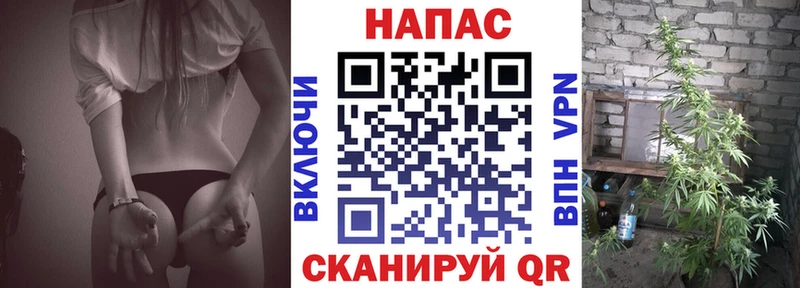 Бошки марихуана Bruce Banner  Купить  Шахты 